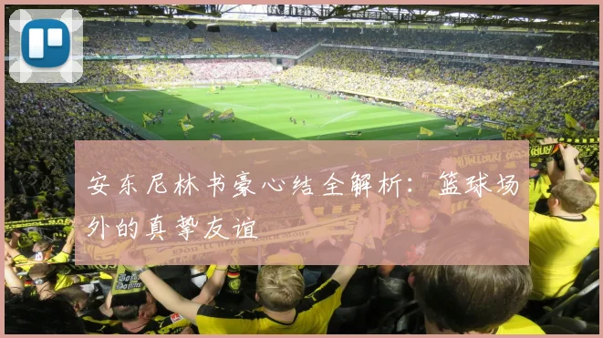 安东尼林书豪心结全解析：篮球场外的真挚友谊