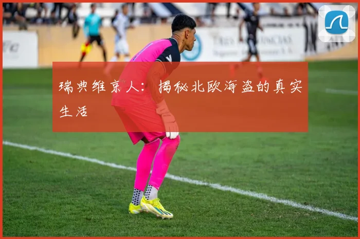 瑞典维京人:揭秘北欧海盗的真实生活