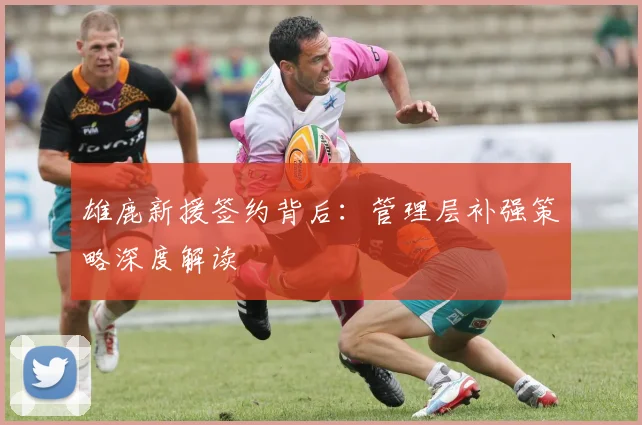 雄鹿新援签约背后：管理层补强策略深度解读