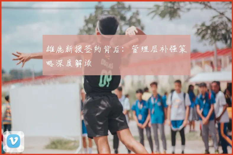 雄鹿新援签约背后：管理层补强策略深度解读
