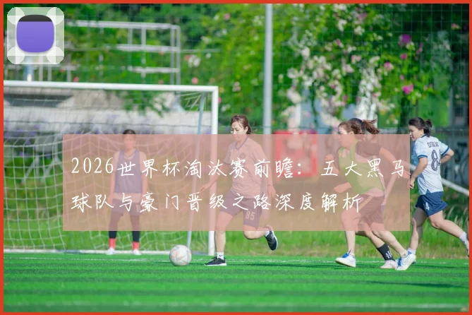 2026世界杯淘汰赛前瞻:五大黑马球队与豪门晋级之路深度解析